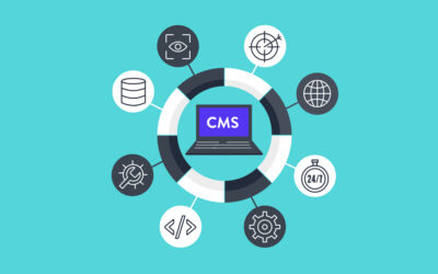 Choosing the Content Management System (CMS)