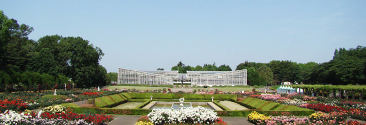 Jindai Botanical Garden